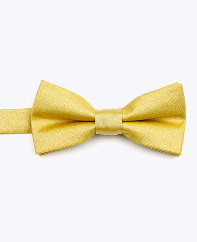 Fliege Gold n°2 Kinder Polyester | Armand - Unipap's
