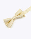 Glitzer-Fliege Gold n°2 Kinder Polyester | Isidore - Unipap's