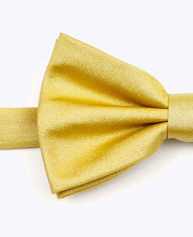 Fliege mit goldenen Pailletten Nr. 2 Herren aus Polyester | Armand - Unipap's