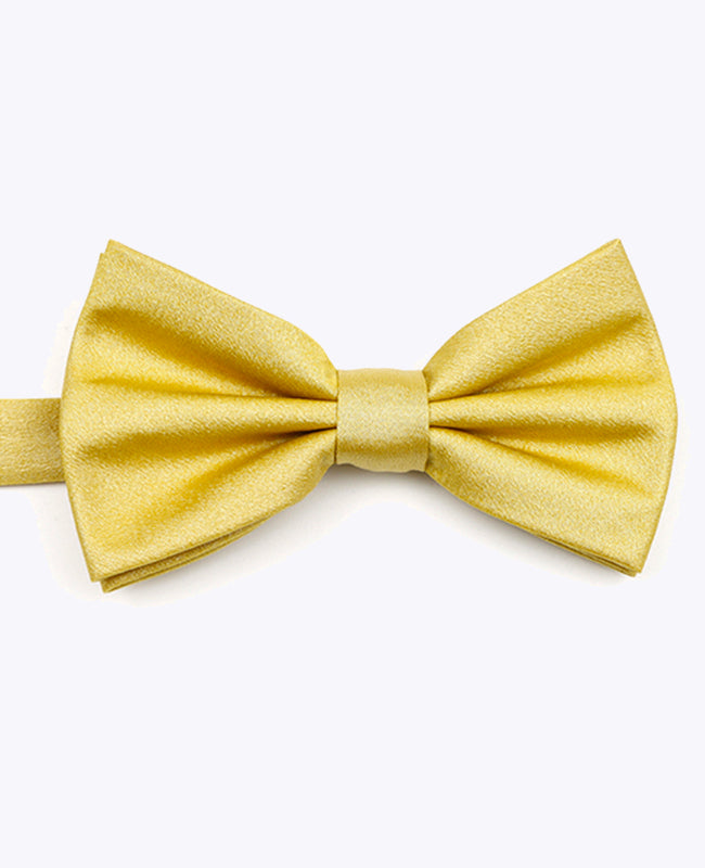 Fliege mit goldenen Pailletten Nr. 2 Herren aus Polyester | Armand - Unipap's