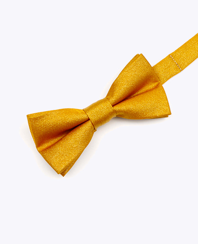 Fliege mit goldenen Pailletten Nr. 3 Kinder aus Polyester | Armand - Unipap's