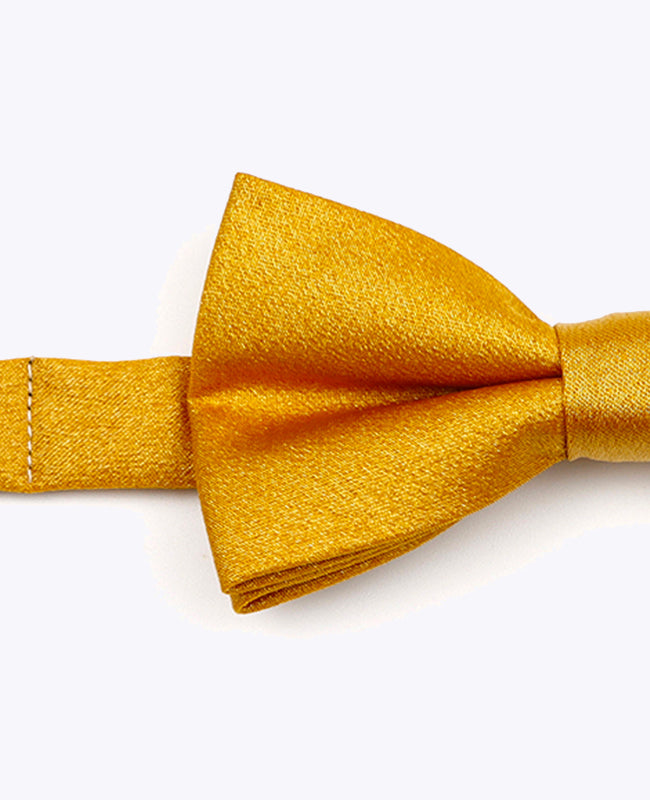 Fliege Gold n°3 Kinder Polyester mit Pailletten | Armand - Unipap's