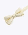 Glitzer-Fliege Gold n°3 Kinder Polyester | Isidore - Unipap's