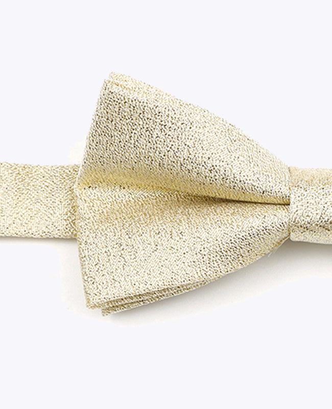 Glitzer-Fliege Gold n°3 Kinder Polyester | Isidore - Unipap's