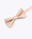 Fliege Gold Glitzer Nr. 4 Kinder Polyester | Armand - Unipap's
