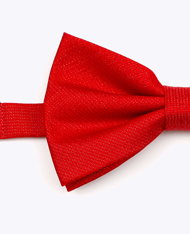 Glitzer-Fliege Rot Nr. 1 Herren Polyester | Léonard - Unipap's