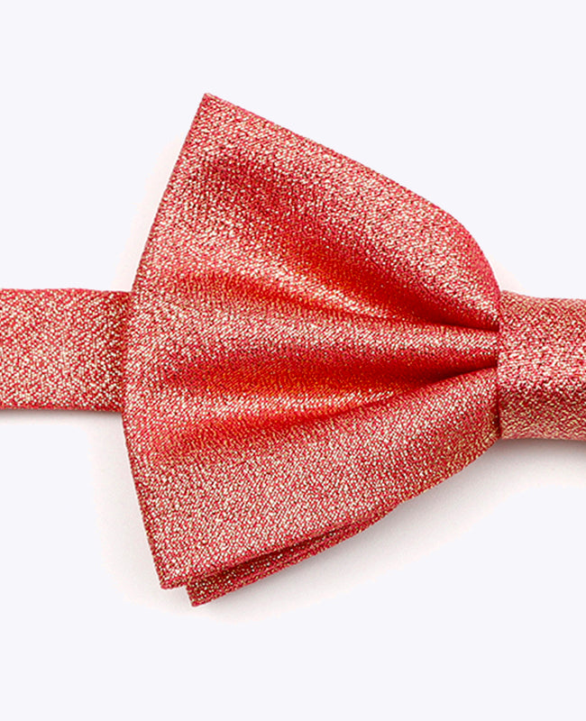 Glitzer-Fliege Rot n°2 Herren Polyester | Isidore - Unipap's