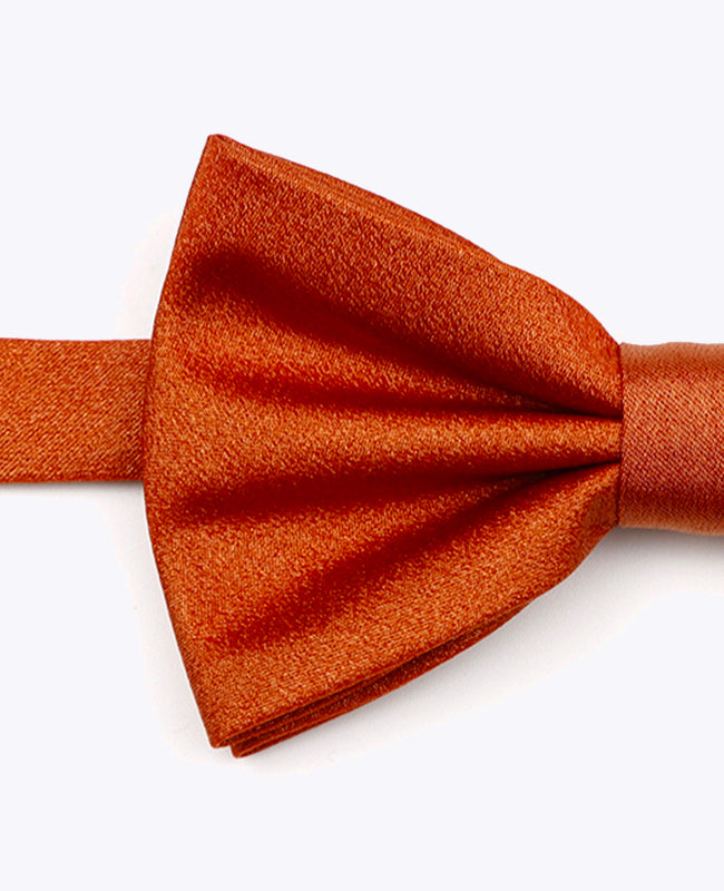 Fliege mit Terracotta Pailletten Nr. 1 Herren aus Polyester | Armand - Unipap's