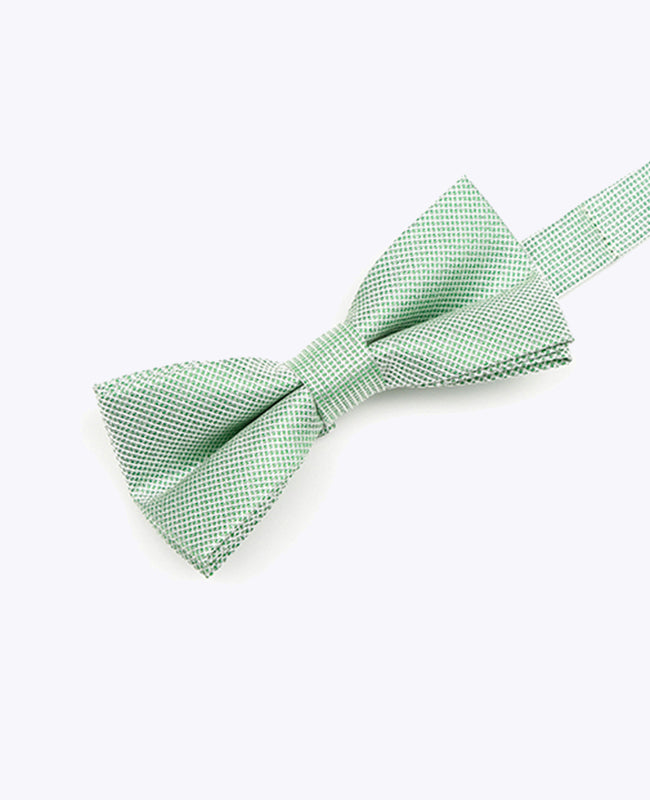 Glitzer-Fliege Grün Nr. 1 Kinder aus Polyester | Léonard - Unipap's