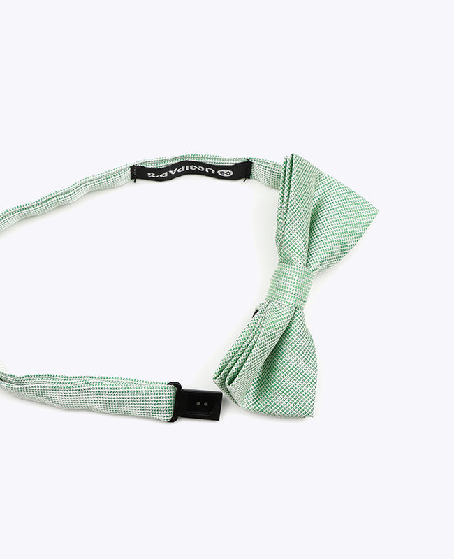 Glitzer-Fliege Grün Nr. 1 Kinder aus Polyester | Léonard - Unipap's