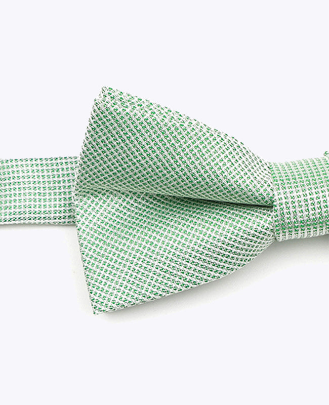 Glitzer-Fliege Grün Nr. 1 Kinder Polyester | Léonard - Unipap's