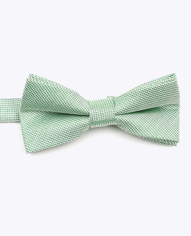 Glitzer-Fliege Grün Nr. 1 Kinder aus Polyester | Léonard - Unipap's