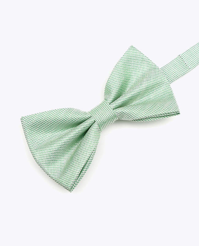 Glitzer-Fliege Grün Nr. 1 Herren aus Polyester | Léonard - Unipap's