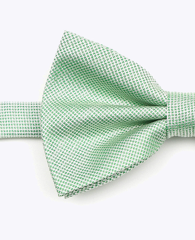 Glitzer-Fliege Grün Nr. 1 Herren Polyester | Léonard - Unipap's