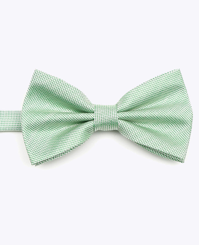 Glitzer-Fliege Grün Nr. 1 Herren aus Polyester | Léonard - Unipap's