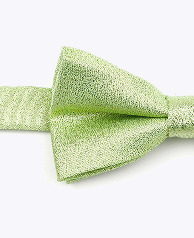 Glitzer-Fliege Grün n°2 Kinder Polyester | Isidore - Unipap's