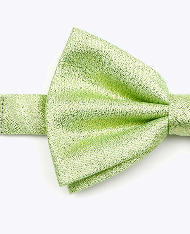 Noeud Papillon à Paillette Vert n°2 Homme en Polyester | Isidore - Unipap's