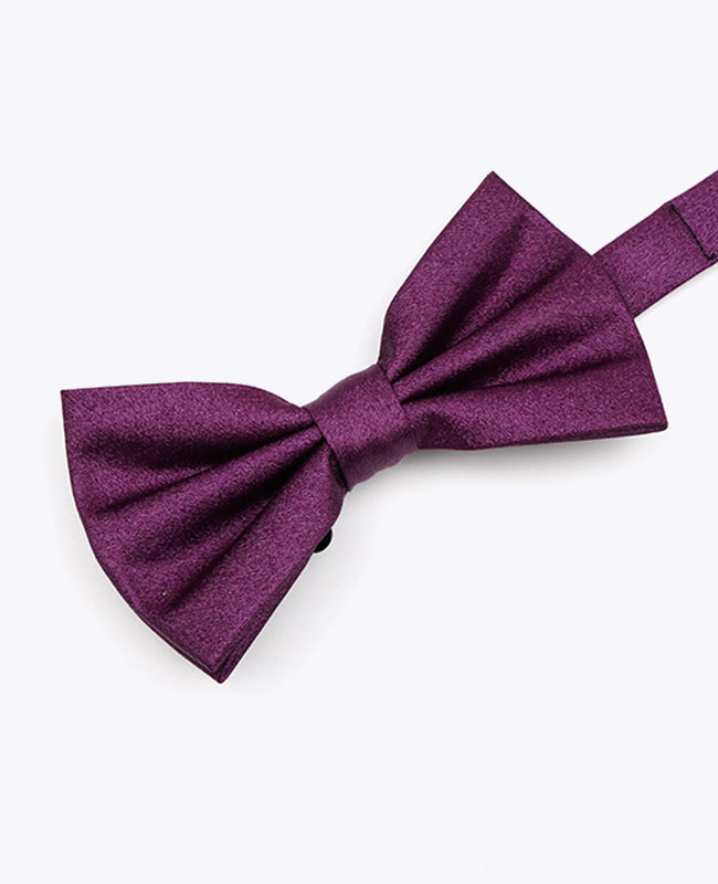 Fliege Violett Glitzer Nr. 1 Herren Polyester | Armand - Unipap's