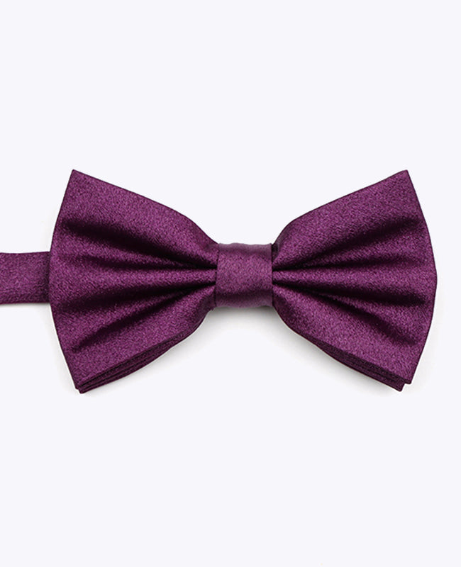 Fliege Violett Glitzer Nr. 1 Herren Polyester | Armand - Unipap's