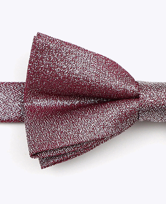 Fliege mit Pailletten Violett n°3 Kinder aus Polyester | Isidore - Unipap's