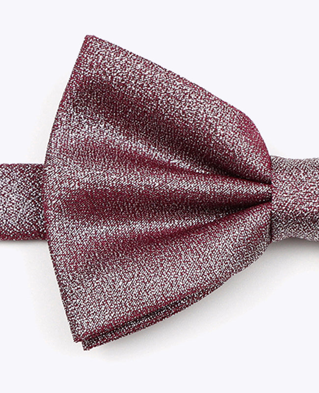 Fliege mit Pailletten Violett n°3 Herren aus Polyester | Isidore - Unipap's