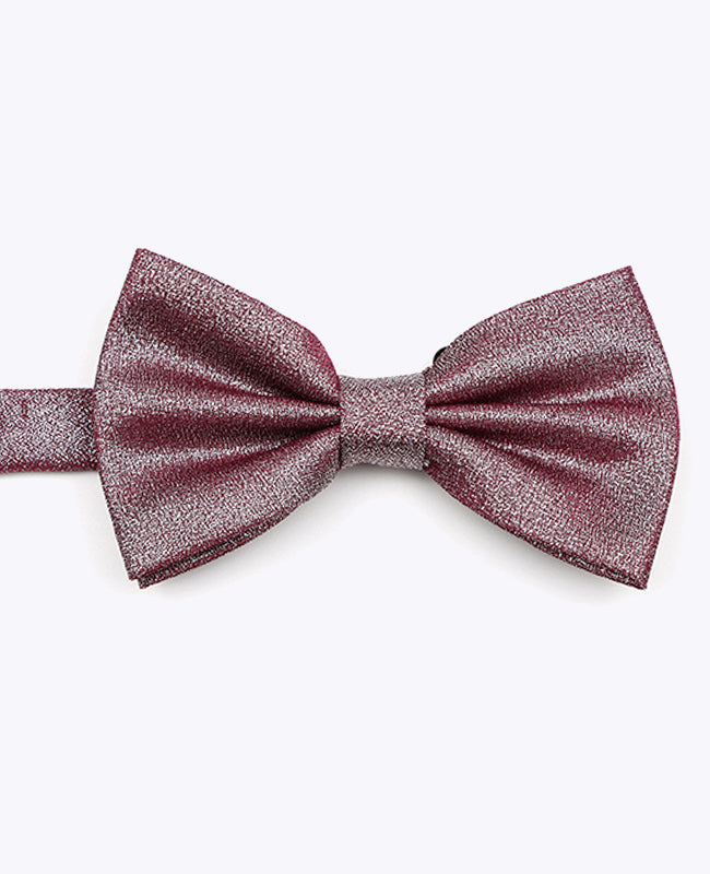 Glitzer-Fliege Violett n°3 Herren aus Polyester | Isidore - Unipap's