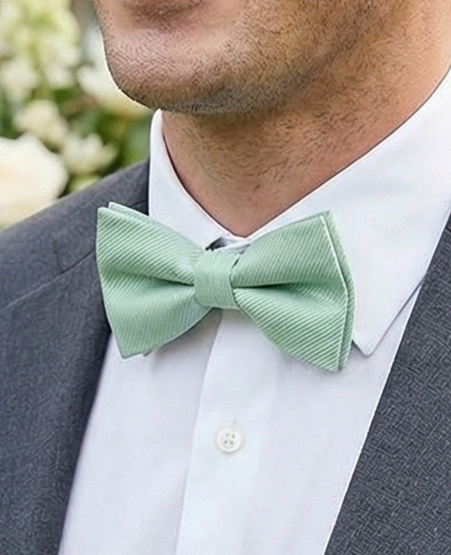 
Fliege Grün n°1 Herren Polyester «Lucien»
