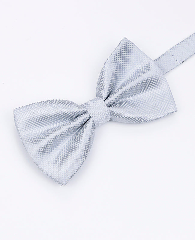 Noeud Papillon Gris n°1 Homme en Polyester | Martin - Unipap's