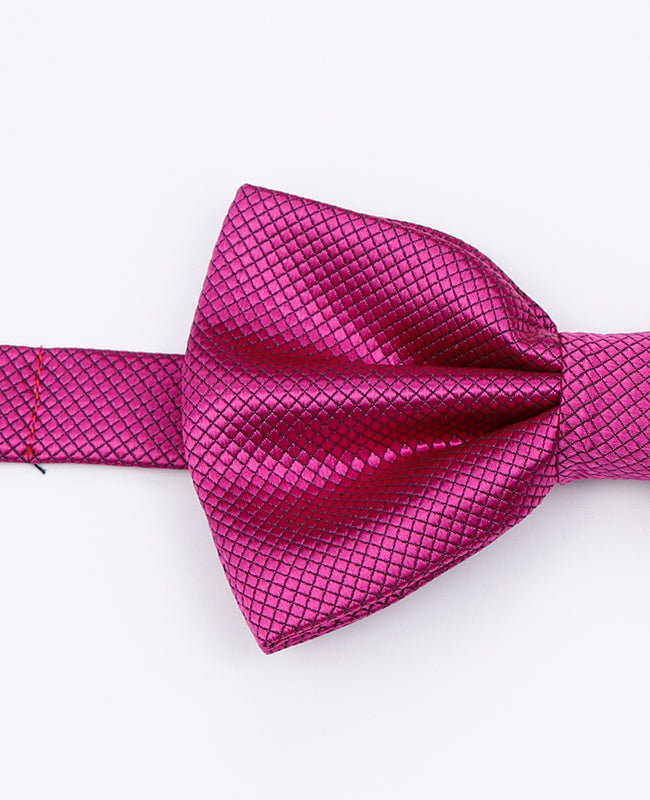 Noeud Papillon Violet n°1 Homme en Polyester | Martin - Unipap's