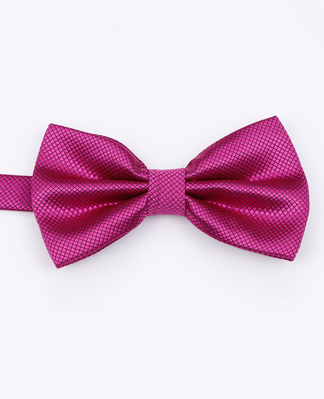 Noeud Papillon Violet n°1 Homme en Polyester | Martin - Unipap's